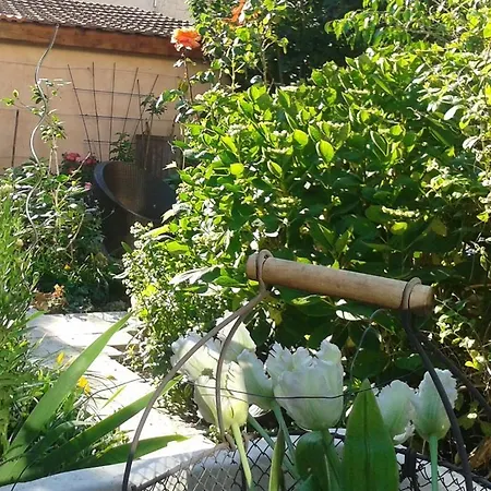 Guest house Des Toits En Ville 2*